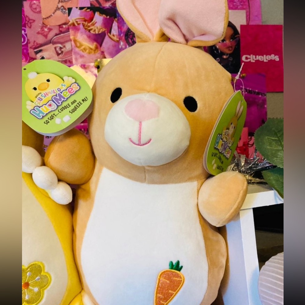 NWT Divina & Rito Hugmee Squishmallow RARE - Picture 3 of 5